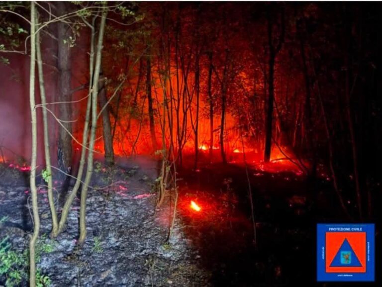 Nove incendi attivi sulle montagne del Friuli